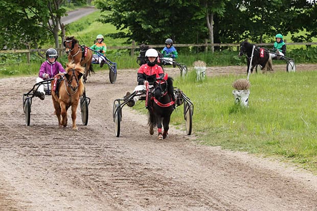 Montéryttere og ponykuske samles til stor løbsdag i Holmegaard